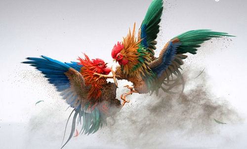 Nên tham gia game đá gà online