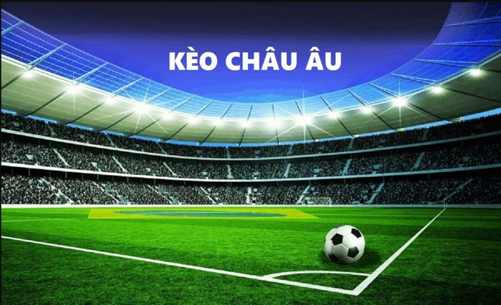 Tìm hiểu ý kiến của các chuyên gia hàng đầu thị trường