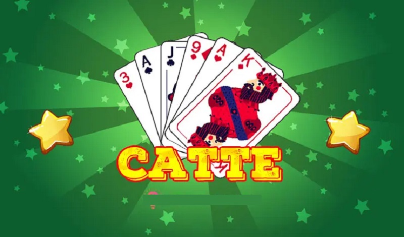 Tìm hiểu khái niệm bài catte là gì?