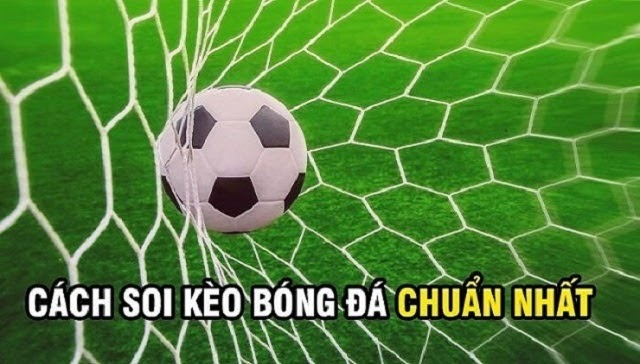 Bắt kèo cá cược vào thời điểm thích hợp nhất